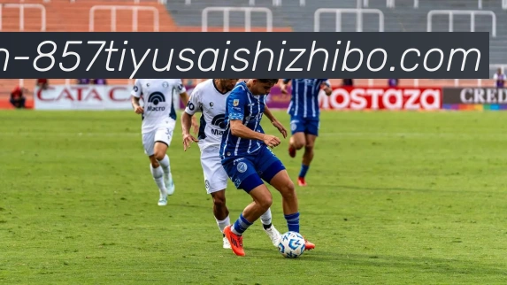 857体育赛事直播平台生态图